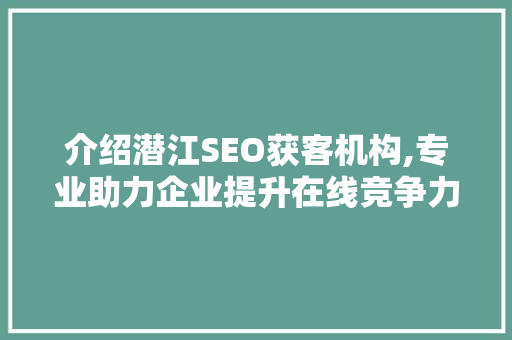 介绍潜江SEO获客机构,专业助力企业提升在线竞争力