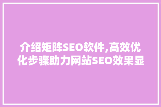 介绍矩阵SEO软件,高效优化步骤助力网站SEO效果显著提升
