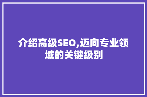 介绍高级SEO,迈向专业领域的关键级别 网站开发