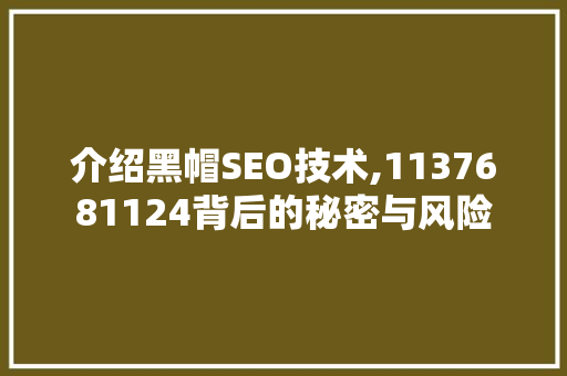 介绍黑帽SEO技术,1137681124背后的秘密与风险
