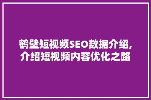 鹤壁短视频SEO数据介绍,介绍短视频内容优化之路 网站优化