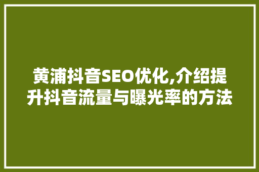 黄浦抖音SEO优化,介绍提升抖音流量与曝光率的方法 百度算法