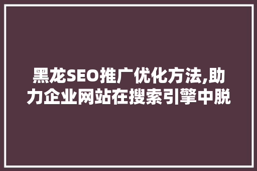 黑龙SEO推广优化方法,助力企业网站在搜索引擎中脱颖而出 360搜优化