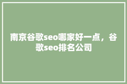 南京谷歌seo哪家好一点，谷歌seo排名公司