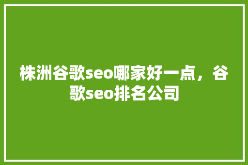 株洲谷歌seo哪家好一点，谷歌seo排名公司
