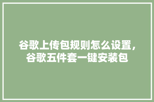 谷歌上传包规则怎么设置，谷歌五件套一键安装包 搜狗优化