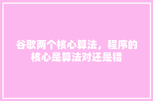 谷歌两个核心算法，程序的核心是算法对还是错 网站优化