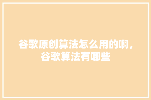 谷歌原创算法怎么用的啊，谷歌算法有哪些