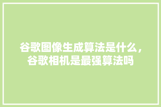 谷歌图像生成算法是什么，谷歌相机是最强算法吗