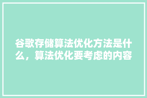 谷歌存储算法优化方法是什么，算法优化要考虑的内容