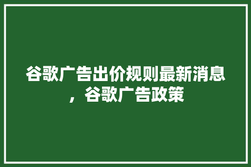 谷歌广告出价规则最新消息，谷歌广告政策 头条优化