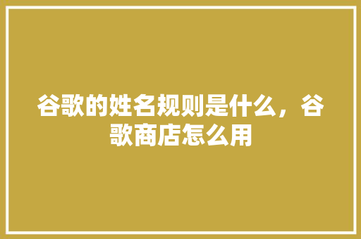 谷歌的姓名规则是什么，谷歌商店怎么用