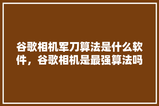 谷歌相机军刀算法是什么软件，谷歌相机是最强算法吗 搜狗优化