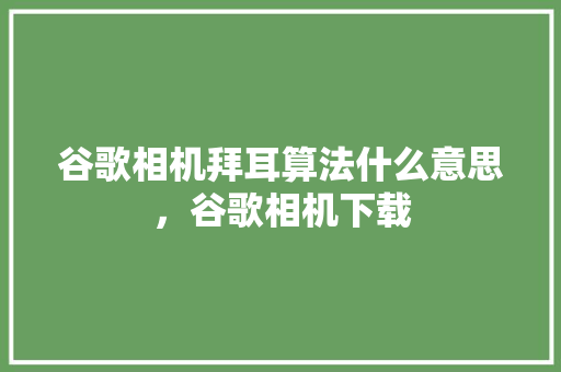 谷歌相机拜耳算法什么意思，谷歌相机下载
