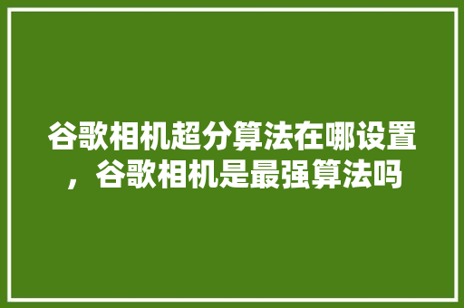 谷歌相机超分算法在哪设置，谷歌相机是最强算法吗