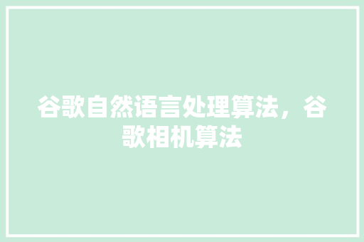 谷歌自然语言处理算法，谷歌相机算法