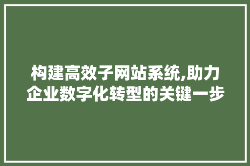构建高效子网站系统,助力企业数字化转型的关键一步 构建高效子网站系统,助力企业数字化转型的关键一步 小程序开发