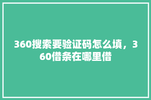 360搜索要验证码怎么填，360借条在哪里借