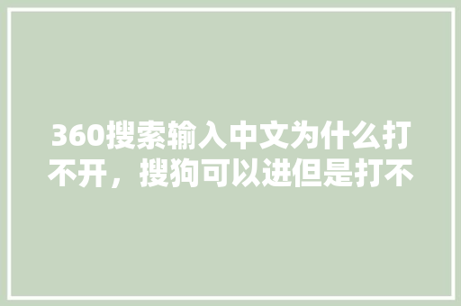 360搜索输入中文为什么打不开，搜狗可以进但是打不开网页 百度算法