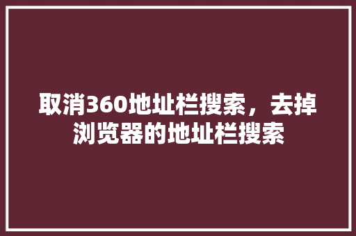 取消360地址栏搜索，去掉浏览器的地址栏搜索 seo技术