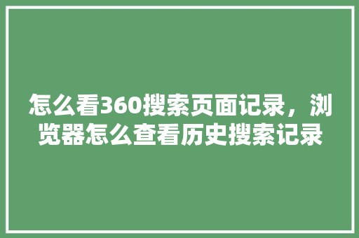 怎么看360搜索页面记录，浏览器怎么查看历史搜索记录 AI技术学习