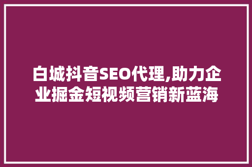 白城抖音SEO代理,助力企业掘金短视频营销新蓝海