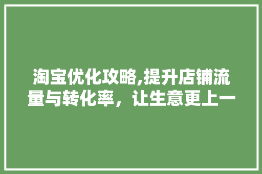淘宝优化攻略,提升店铺流量与转化率，让生意更上一层楼