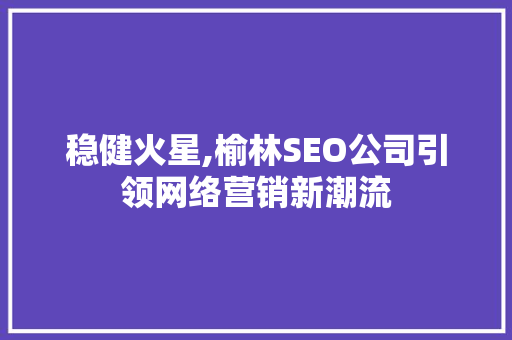 稳健火星,榆林SEO公司引领网络营销新潮流