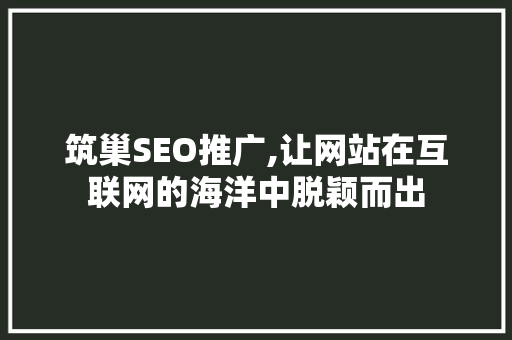 筑巢SEO推广,让网站在互联网的海洋中脱颖而出 小程序开发