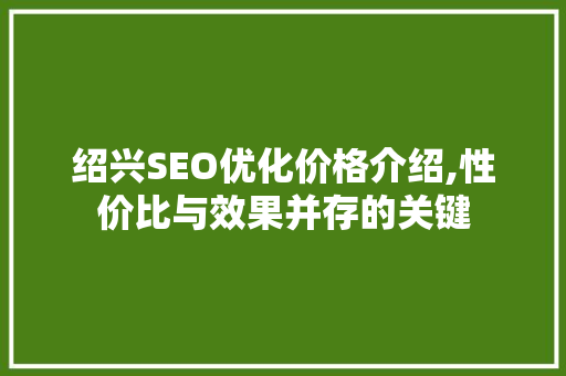 绍兴SEO优化价格介绍,性价比与效果并存的关键 网站优化