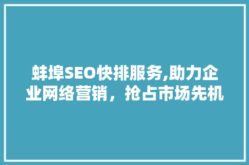 蚌埠SEO快排服务,助力企业网络营销，抢占市场先机