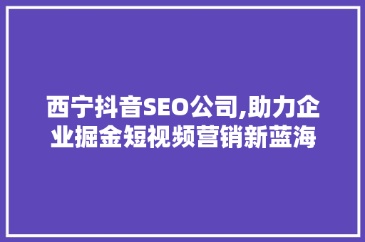 西宁抖音SEO公司,助力企业掘金短视频营销新蓝海