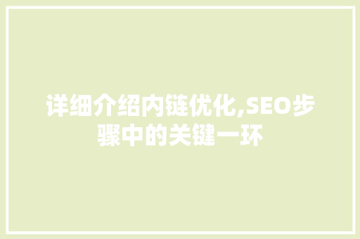 详细介绍内链优化,SEO步骤中的关键一环 网站开发