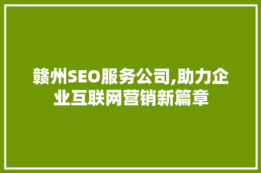 赣州SEO服务公司,助力企业互联网营销新篇章
