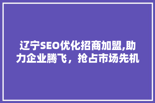 辽宁SEO优化招商加盟,助力企业腾飞，抢占市场先机 360搜优化