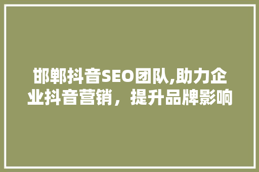 邯郸抖音SEO团队,助力企业抖音营销，提升品牌影响力