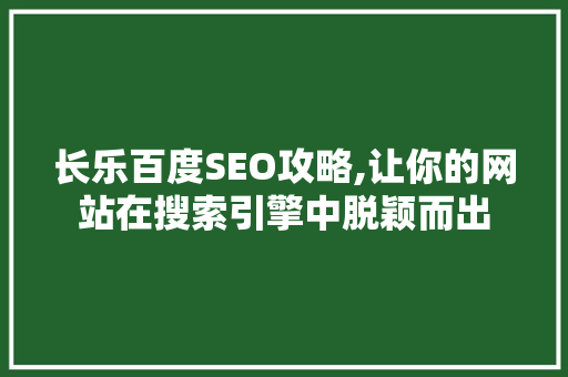 长乐百度SEO攻略,让你的网站在搜索引擎中脱颖而出 网站优化