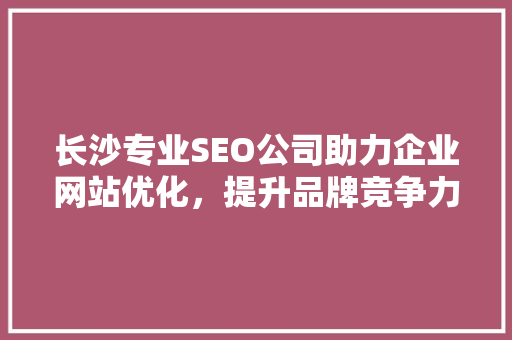 长沙专业SEO公司助力企业网站优化，提升品牌竞争力