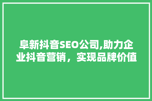 阜新抖音SEO公司,助力企业抖音营销，实现品牌价值飞跃 网站开发
