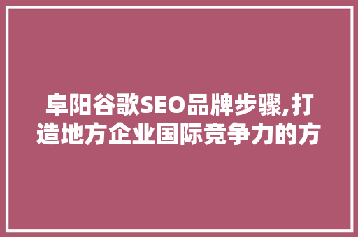 阜阳谷歌SEO品牌步骤,打造地方企业国际竞争力的方法 网站优化