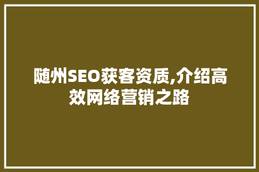 随州SEO获客资质,介绍高效网络营销之路