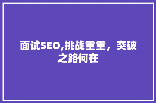 面试SEO,挑战重重，突破之路何在