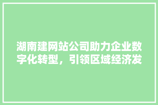 湖南建网站公司助力企业数字化转型，引领区域经济发展新潮流
