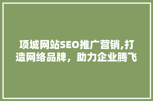 项城网站SEO推广营销,打造网络品牌，助力企业腾飞 网站开发