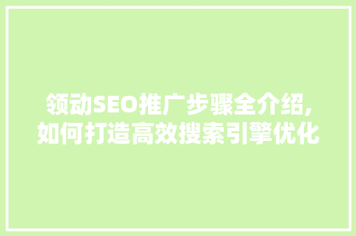 领动SEO推广步骤全介绍,如何打造高效搜索引擎优化方法