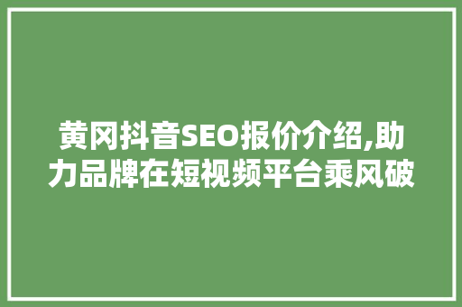 黄冈抖音SEO报价介绍,助力品牌在短视频平台乘风破浪 网站优化