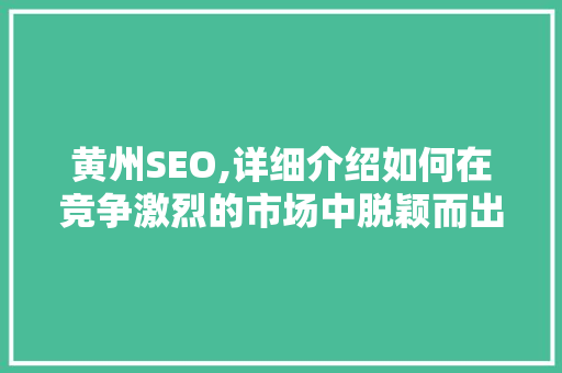 黄州SEO,详细介绍如何在竞争激烈的市场中脱颖而出