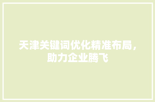 天津关键词优化精准布局，助力企业腾飞