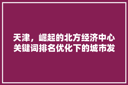 天津，崛起的北方经济中心关键词排名优化下的城市发展新篇章