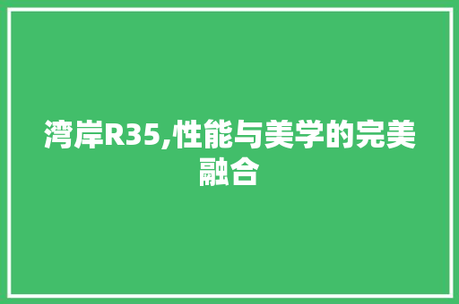湾岸R35,性能与美学的完美融合